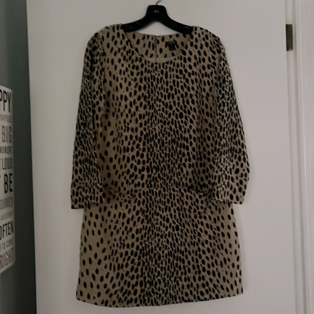 J.Crew Leopard print dress